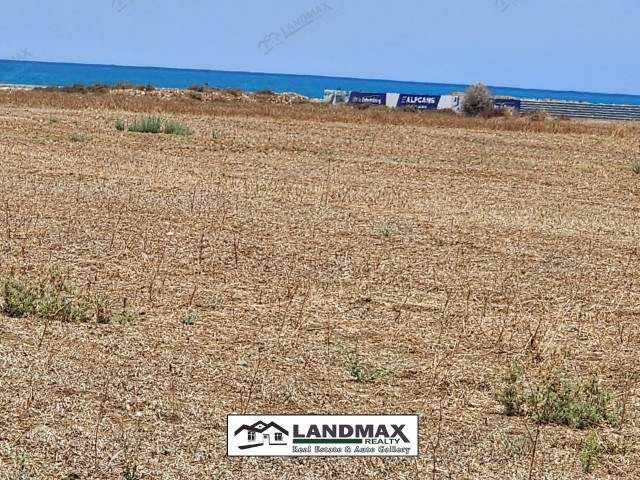 NORTH CYPRUS: LAND FOR SALE WITH TURKISH KOÇANLI IN GAZİVERAN, LEFKE