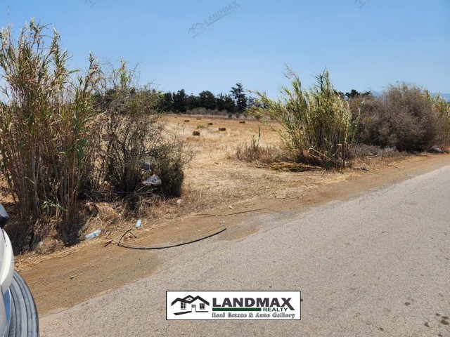 NORTH CYPRUS: LAND FOR SALE IN LEFKE GAZİVERAND 500 M FROM THE SEA WITH TURKISH KOÇANLI