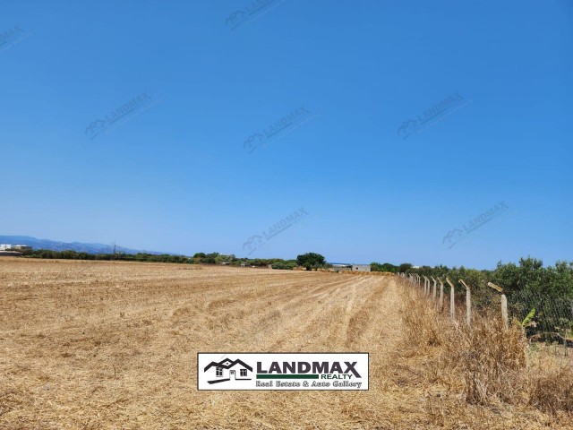 NORTH CYPRUS: LAND FOR SALE IN LEFKE GAZİVERAND 500 M FROM THE SEA WITH TURKISH KOÇANLI