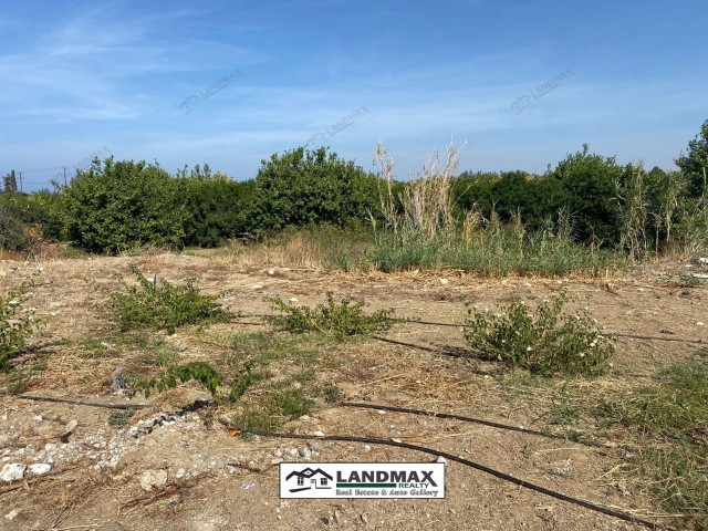NORTH CYPRUS: LAND FOR SALE IN LEFKE CIRCLE CHAPTER 96