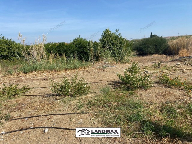 NORTH CYPRUS: LAND FOR SALE IN LEFKE CIRCLE CHAPTER 96