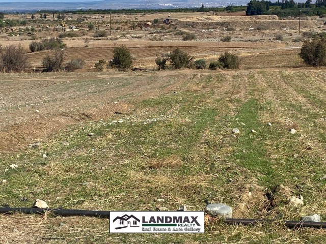 NORTH CYPRUS: TURK KOÇANLI LAND FOR SALE ON DOĞANCI TANPINAR ROAD