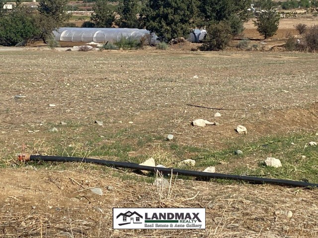 NORTH CYPRUS: TURK KOÇANLI LAND FOR SALE ON DOĞANCI TANPINAR ROAD