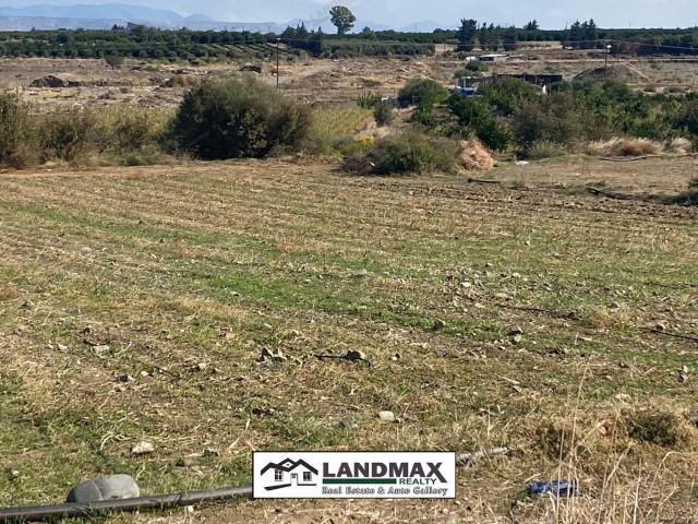 NORTH CYPRUS: TURK KOÇANLI LAND FOR SALE ON DOĞANCI TANPINAR ROAD