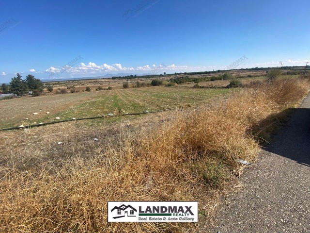 NORTH CYPRUS: TURK KOÇANLI LAND FOR SALE ON DOĞANCI TANPINAR ROAD