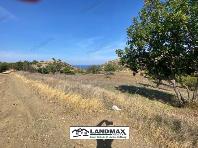 NORTH CYPRUS: LAND FOR SALE IN LEFKE BADEMLİ VILLAGE SUITABLE FOR PLOT CONSTRUCTION