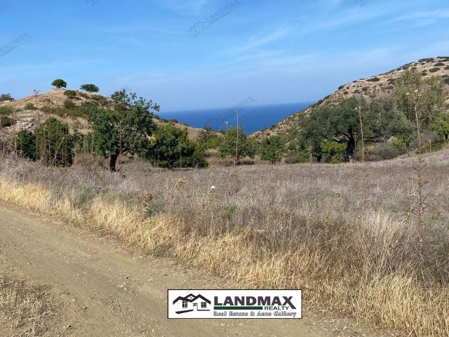 NORTH CYPRUS: LAND FOR SALE IN LEFKE BADEMLİ VILLAGE SUITABLE FOR PLOT CONSTRUCTION