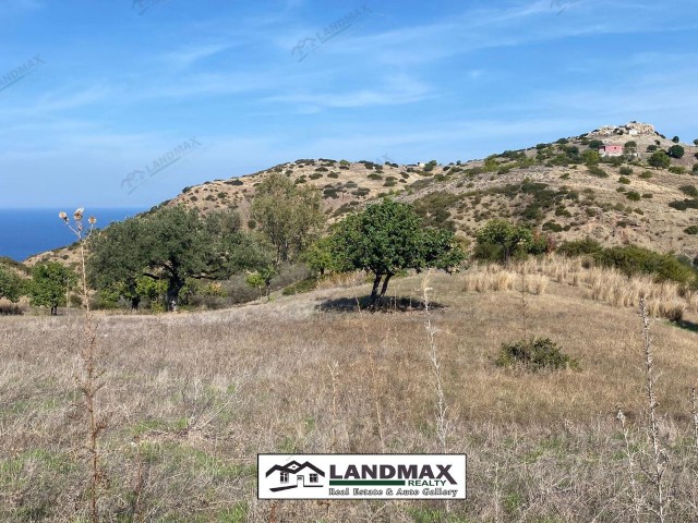 NORTH CYPRUS: LAND FOR SALE IN LEFKE BADEMLİ VILLAGE SUITABLE FOR PLOT CONSTRUCTION