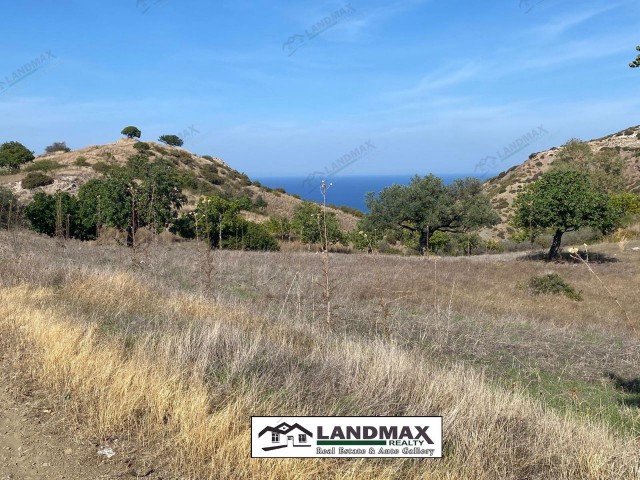 NORTH CYPRUS: LAND FOR SALE IN LEFKE BADEMLİ VILLAGE SUITABLE FOR PLOT CONSTRUCTION