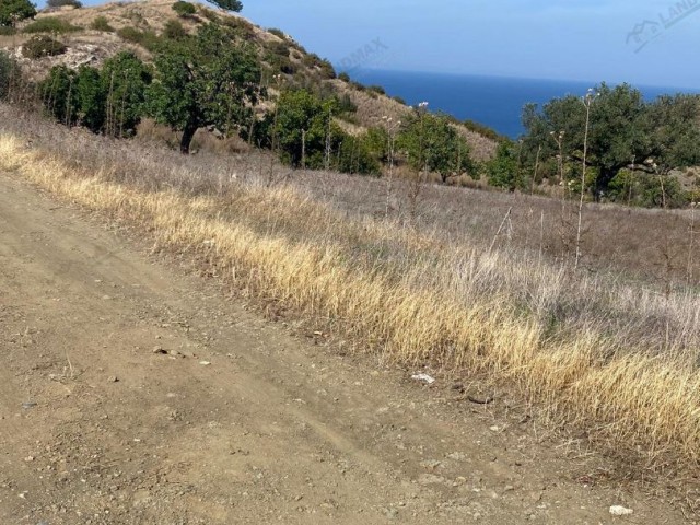 قبرس شمالی: زمین برای فروش در روستای لفکه بادملی مناسب برای ساخت و ساز زمین