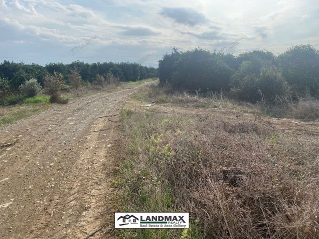 NORTH CYPRUS: LAND FOR SALE IN LEFKE BADEMLİ VILLAGE SUITABLE FOR PLOT CONSTRUCTION