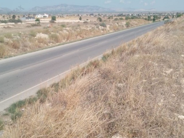 قبرس شمالی: زمین برای فروش در گوندره، منطقه بندی شده در جاده اصلی کوچانلی ترکیه