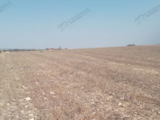 NORTH CYPRUS: LAND FOR SALE IN GÖNENDERE, ZONED ON TURKISH KOÇANLI MAIN ROAD