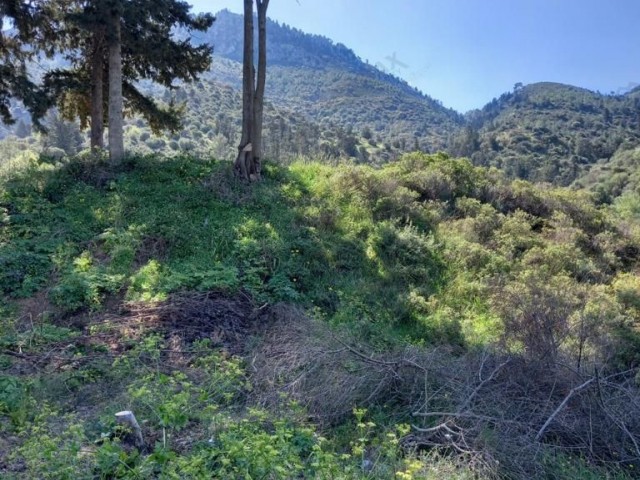 NORTH CYPRUS: LAND FOR SALE WITH ITS MAGNIFICENT NATURE AND SEA VIEW IN GIRNE ILGAZ