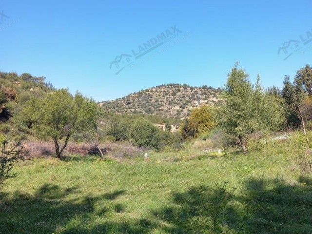 NORTH CYPRUS: LAND FOR SALE WITH ITS MAGNIFICENT NATURE AND SEA VIEW IN GIRNE ILGAZ