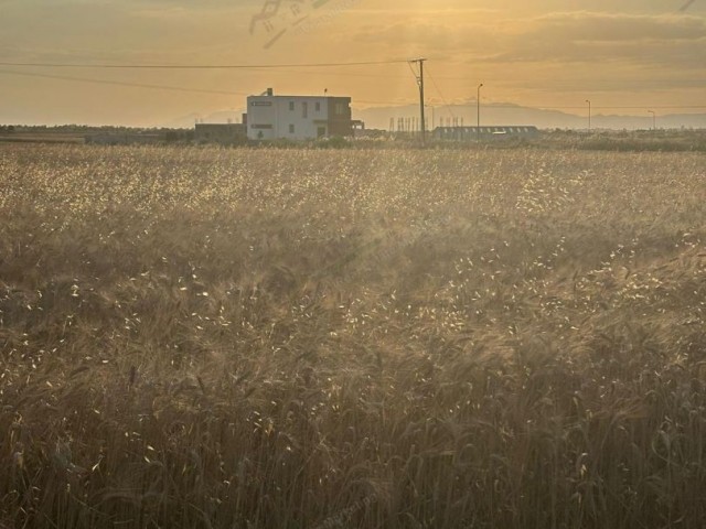 قبرس شمالی: زمین برای فروش در مقابل زمین بین YENİBOĞAZİÇİ ÖTÜKEN