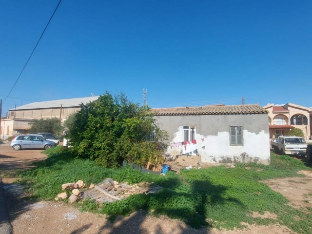 Einfamilienhaus Kaufen in Beyarmudu, Famagusta