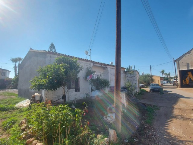 Einfamilienhaus Kaufen in Beyarmudu, Famagusta