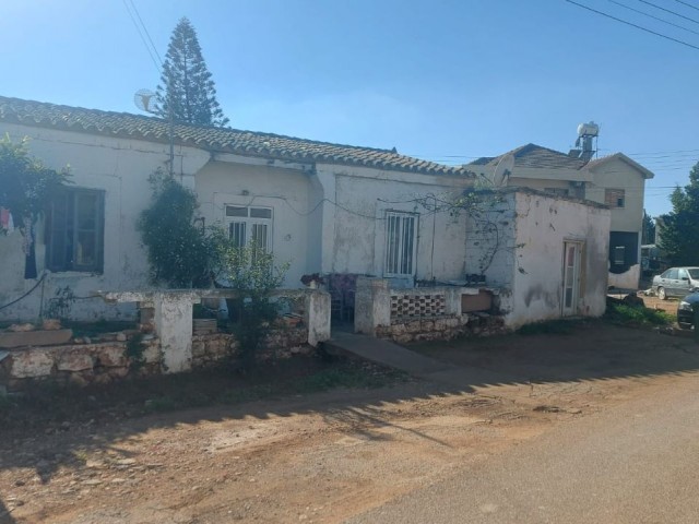 Einfamilienhaus Kaufen in Beyarmudu, Famagusta