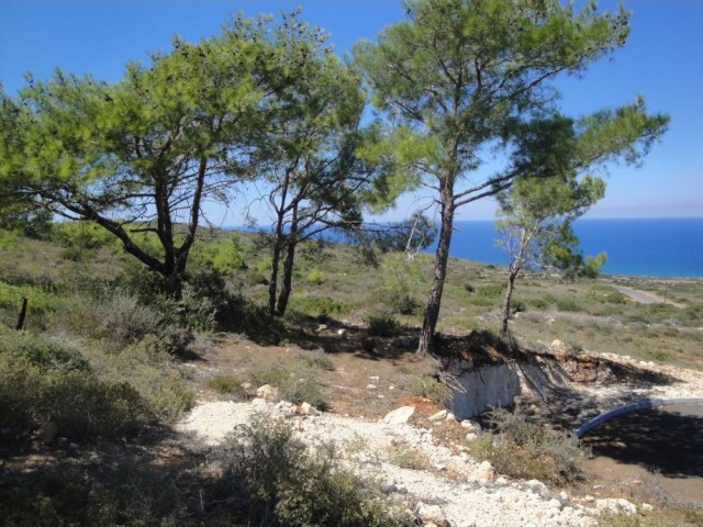 Residential Zoned Plot For Sale in Sadrazamköy, Kyrenia