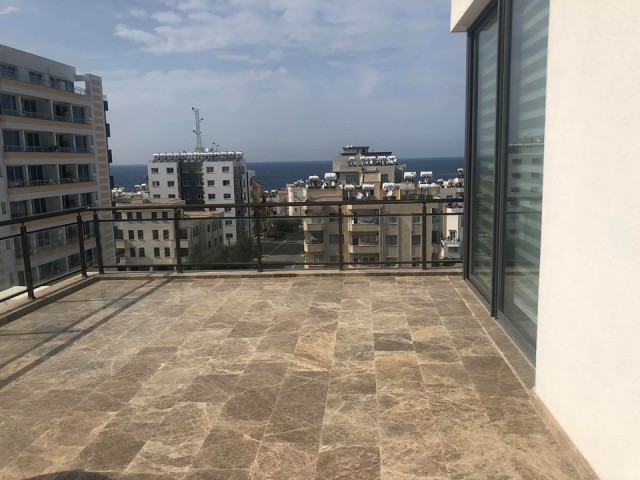 3 Yatak Odalı Penthouse