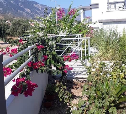 Villa To Rent in Alsancak, Kyrenia