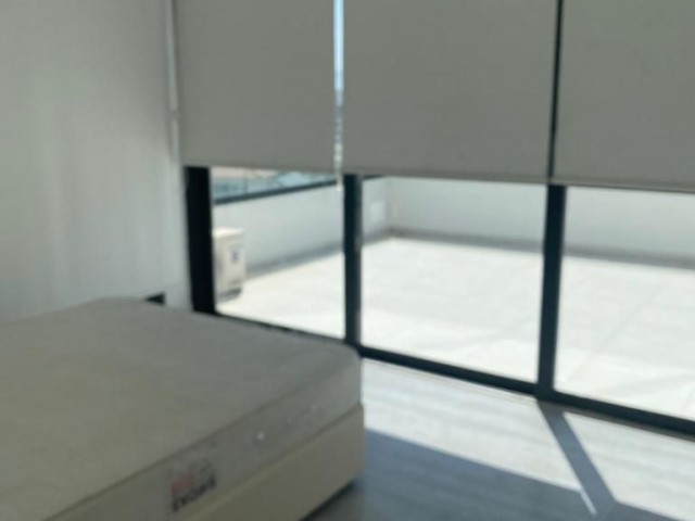 3 Yatak odalı penthouse 