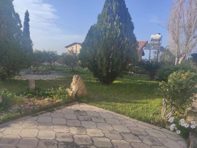 Detached house for rent in Alsancak ** 