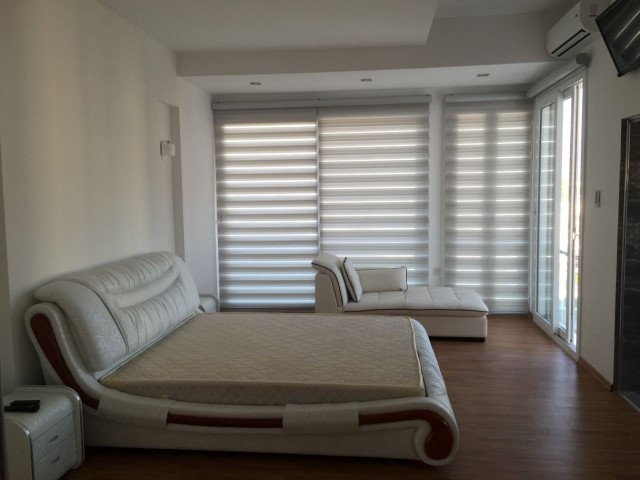 1 Yatak odalı penthouse