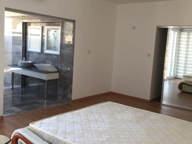 1 Yatak odalı penthouse