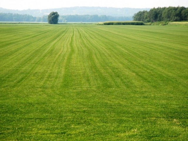 Land zu verkaufen