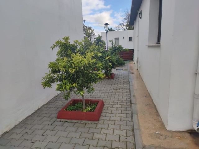 Einfamilienhaus Kaufen in Demirhan, Nikosia