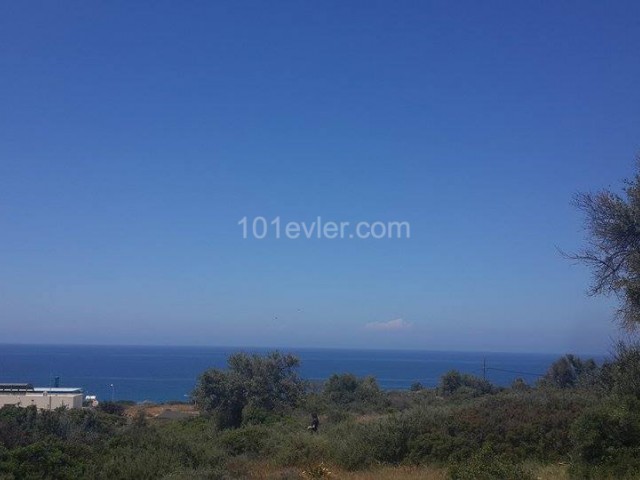 50 Acres of Project Land Near the Sea ** 