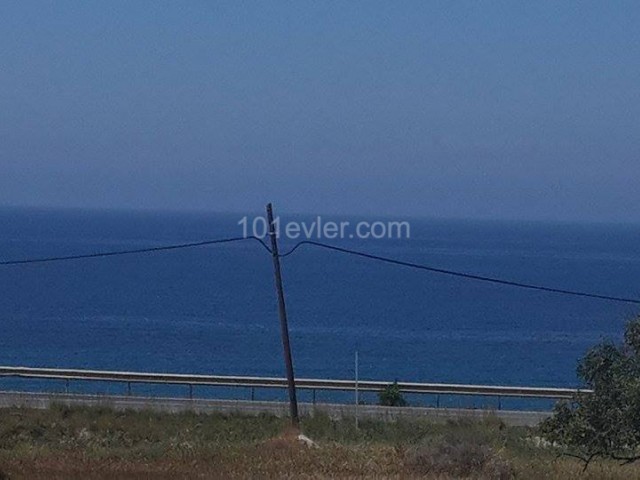 50 Acres of Project Land Near the Sea ** 