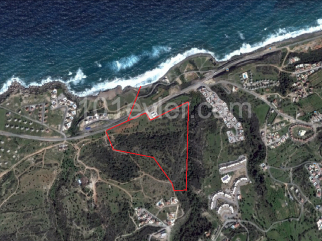 50 Acres of Project Land Near the Sea ** 