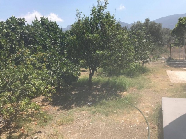 Einfamilienhaus Mieten in Çatalköy, Kyrenia