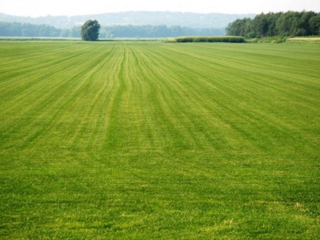 Land zum Verkauf am Meer