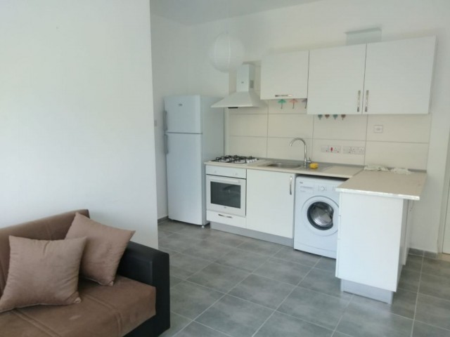 1 Bedroom Aparment For Rent