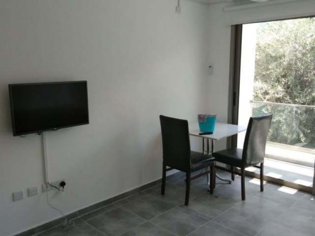 1 Bedroom Aparment For Rent