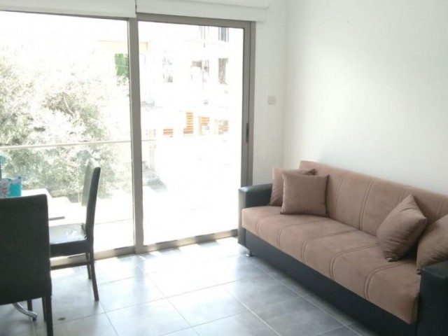 1 Bedroom Aparment For Rent