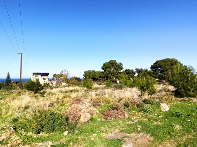 Chatalköy ist auch ein privates Land mit Meerblick, das nicht abgeschnitten wird ** 