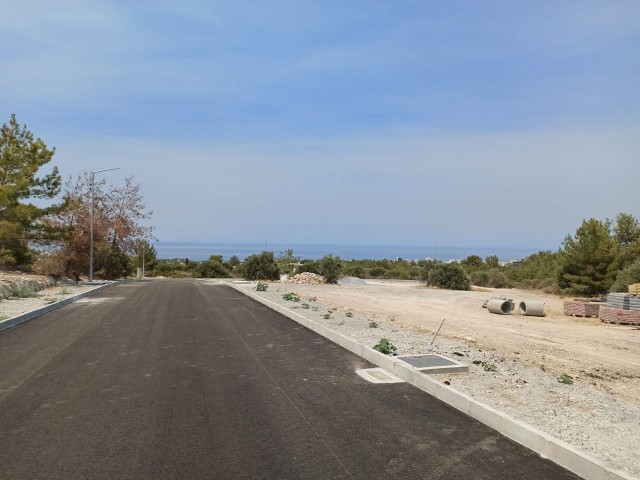 Türkisches Grundstück Mit Meerblick Im Olivenhain Von Kyrenia ** 