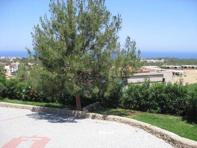 Sole Agent Villa in Catalkoy