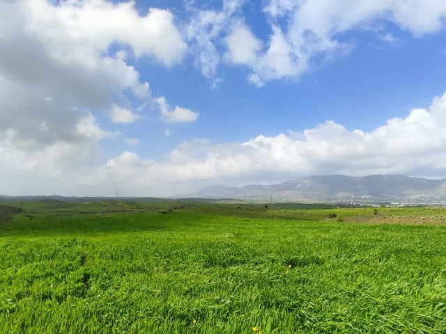 Girne Boğaz Mükemmel Konumda 16 Dönüm 3 Evlek Satılık Arsa