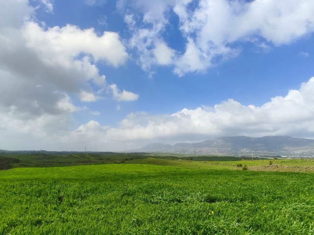 Zu Verkaufen Grundstück / 16 Hektar 3 Häuser / Bosporus, Kyrenia, Nordzypern ** 