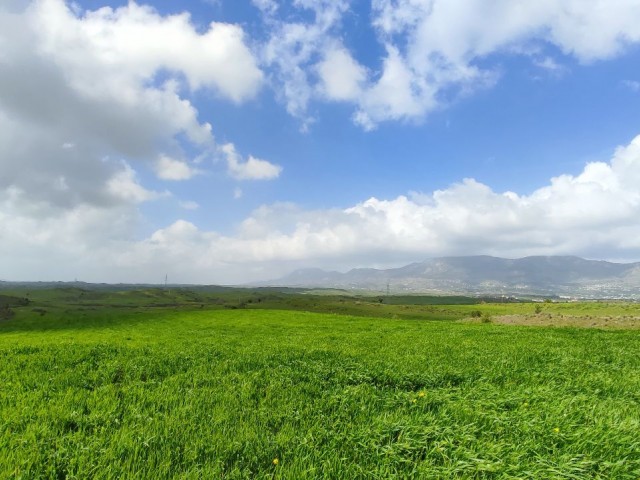 Satılık Arsa | 16 Dönüm 3 Evlek | Boğaz, Girne, Kuzey Kıbrıs