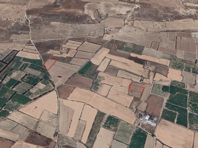 Field for Sale in Guzelyurt Highland Region