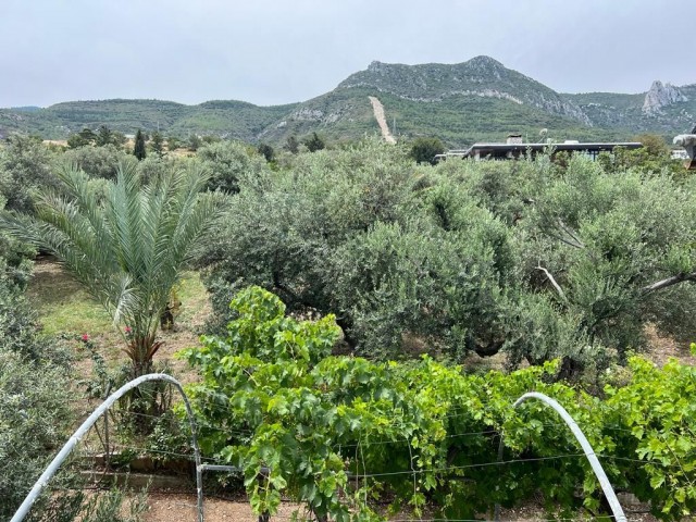 Yukarı Girne'de Muhteşem Deniz Manzaralı Kiralık Villa