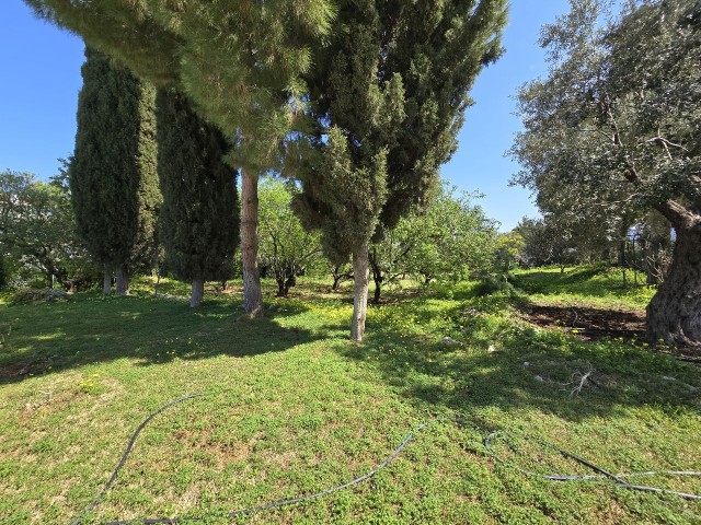 Villa zu vermieten mit herrlichem Meerblick in Ober-Kyrenia