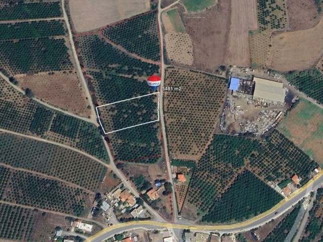 Land for Sale in Güzelyurt Aydınköy